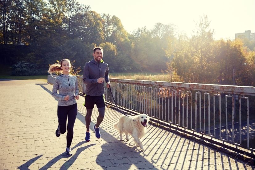 Bieg na 6 łap: aktywność fizyczna formą pomocy psom ze schroniska